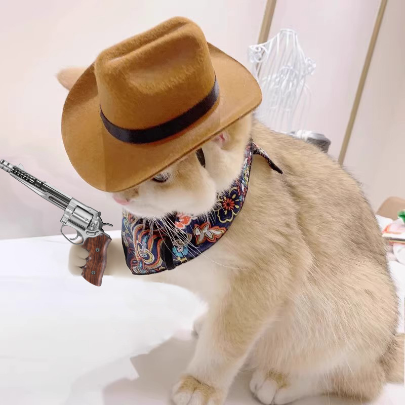    Chapeau de Cowboy pour cha - Cowboy Hat Straw avis et prix